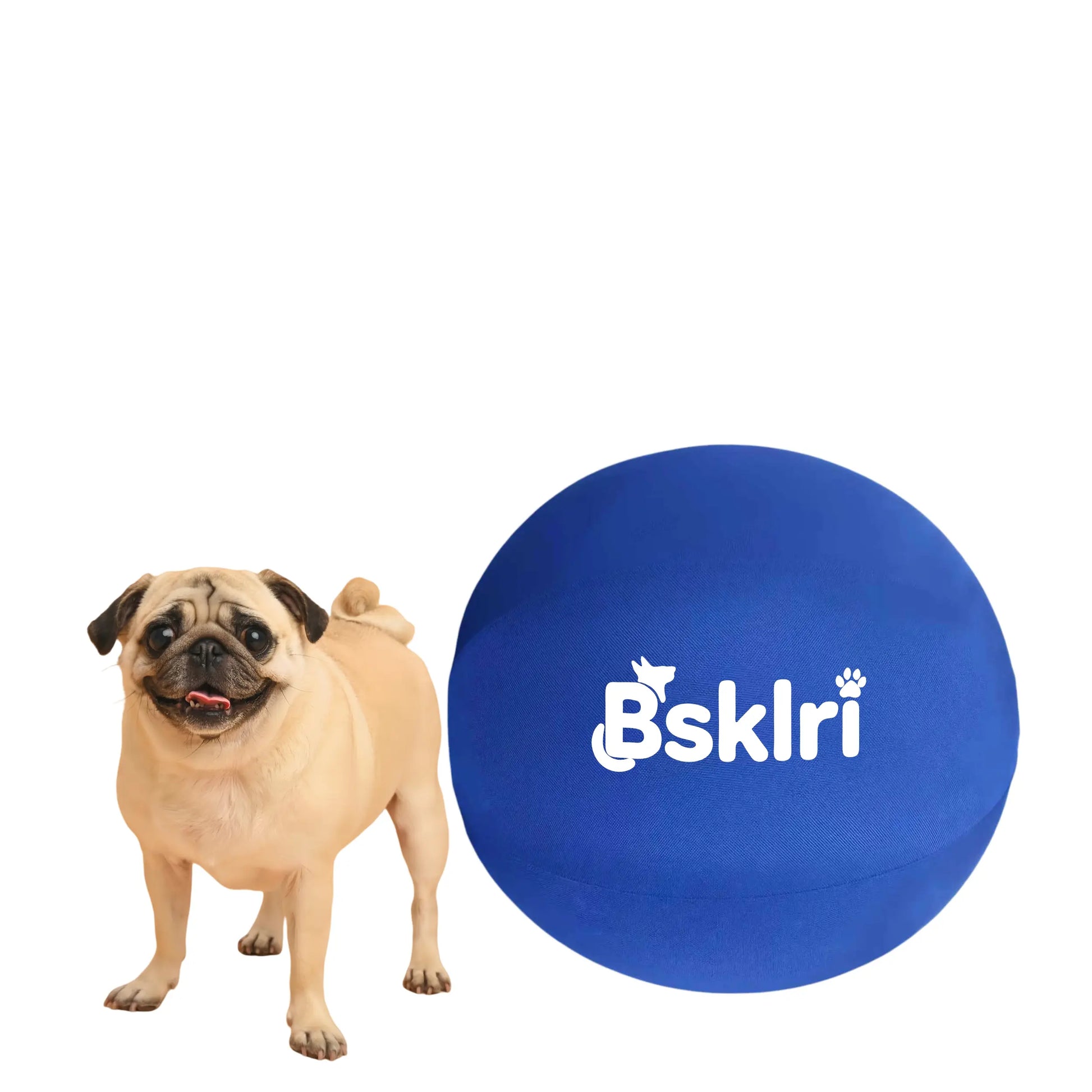 Dog Herding Ball - Push & Chase Toy for Supervised Outdoor Play Summerwins