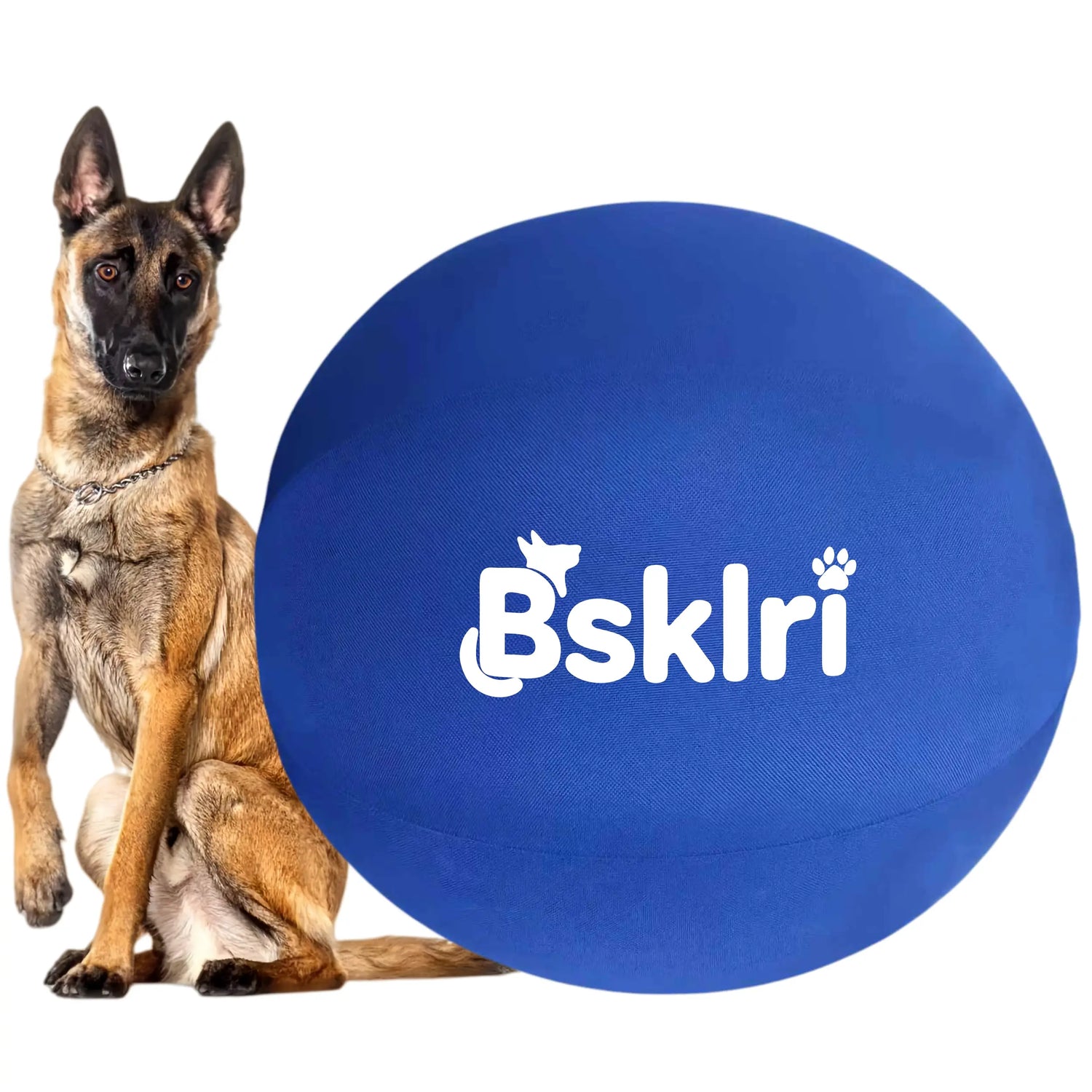 Dog Herding Ball - Push & Chase Toy for Supervised Outdoor Play Summerwins